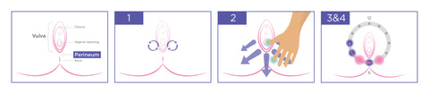 Image of 4-step perineal massage technique